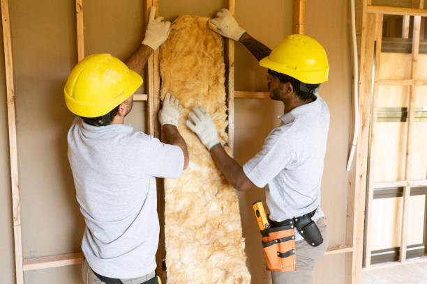 Best Attic Insulation Installation  in Wailua Homesteads, HI